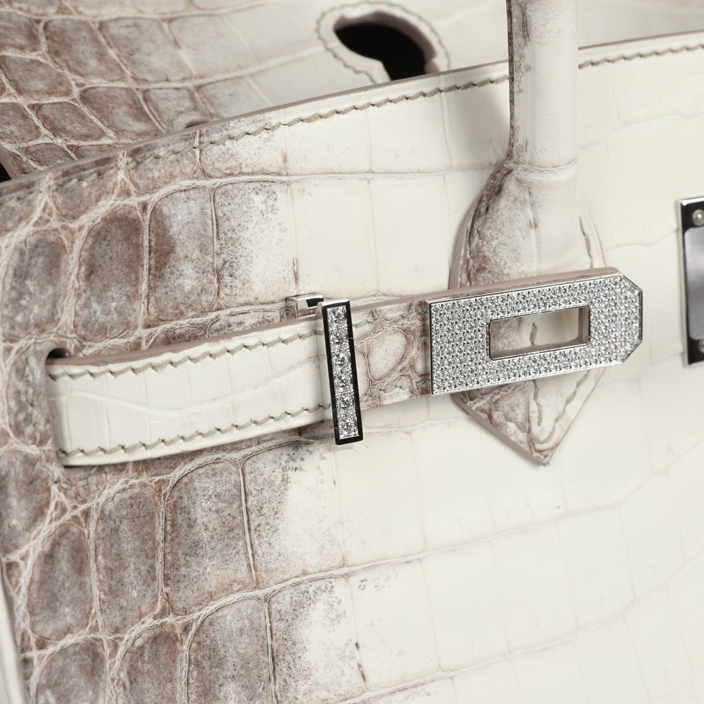 Hermès Birkin 25 Himalaya Niloticus Crocodile Diamond Encrusted Silver Hardware