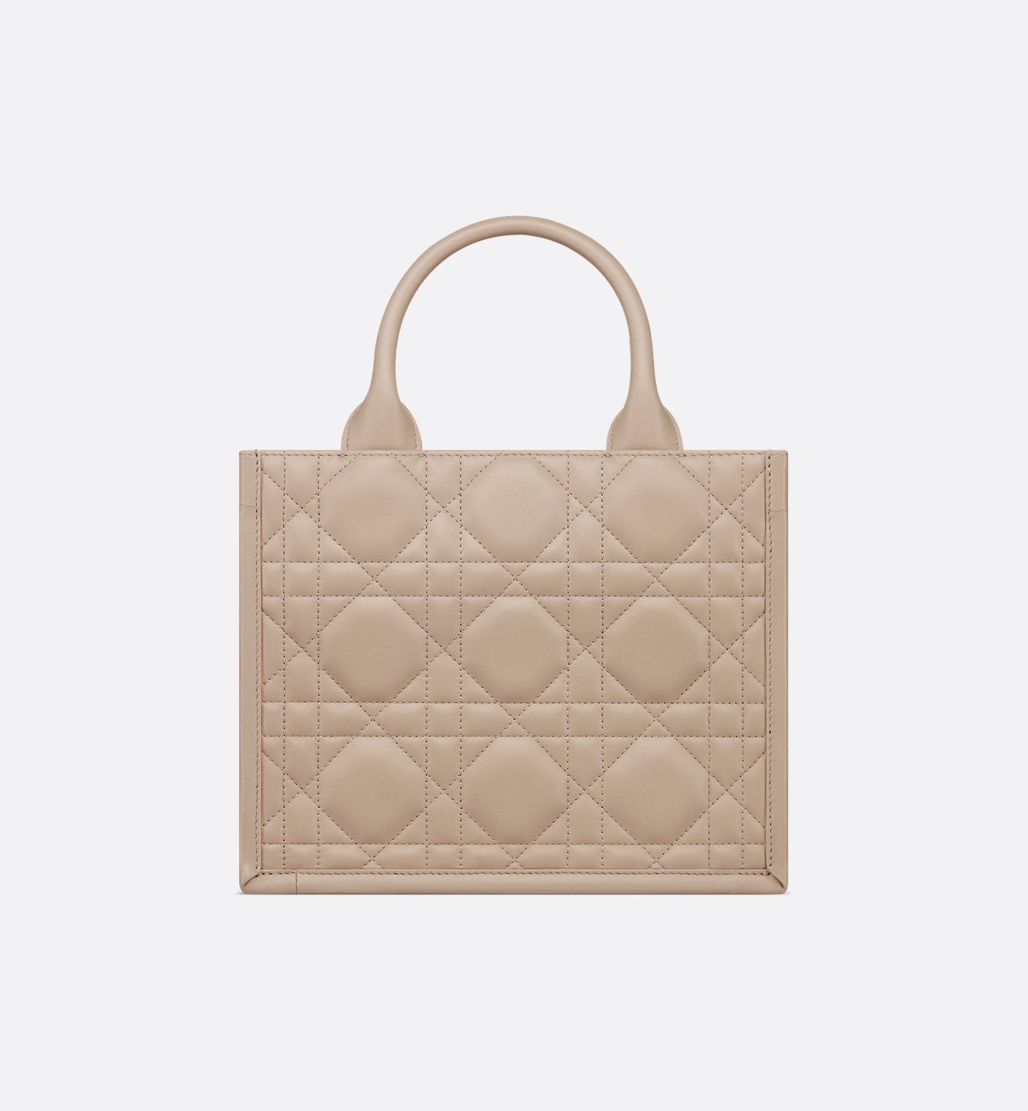 Small Dior Book Tote