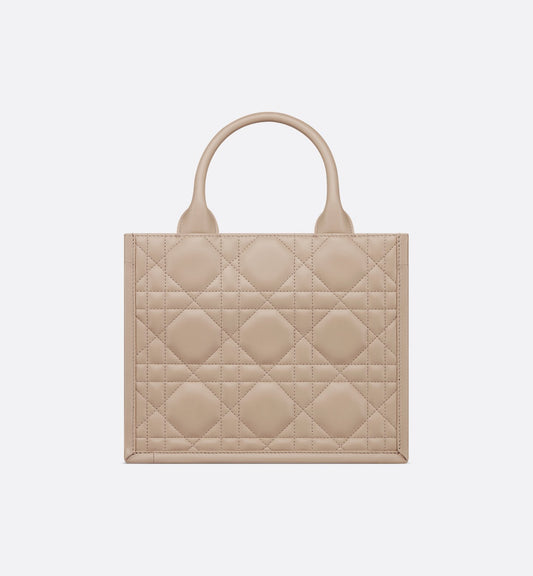 Small Dior Book Tote