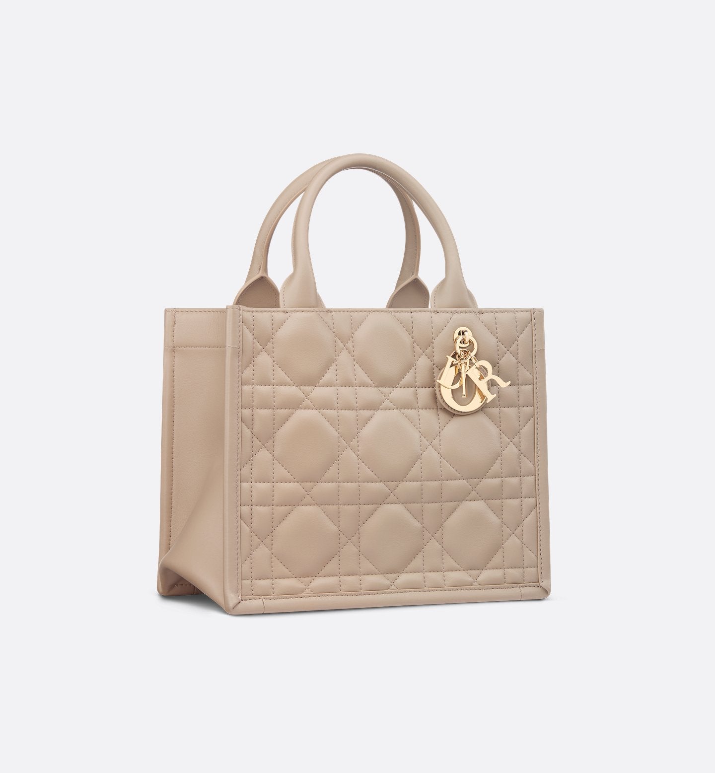 Small Dior Book Tote