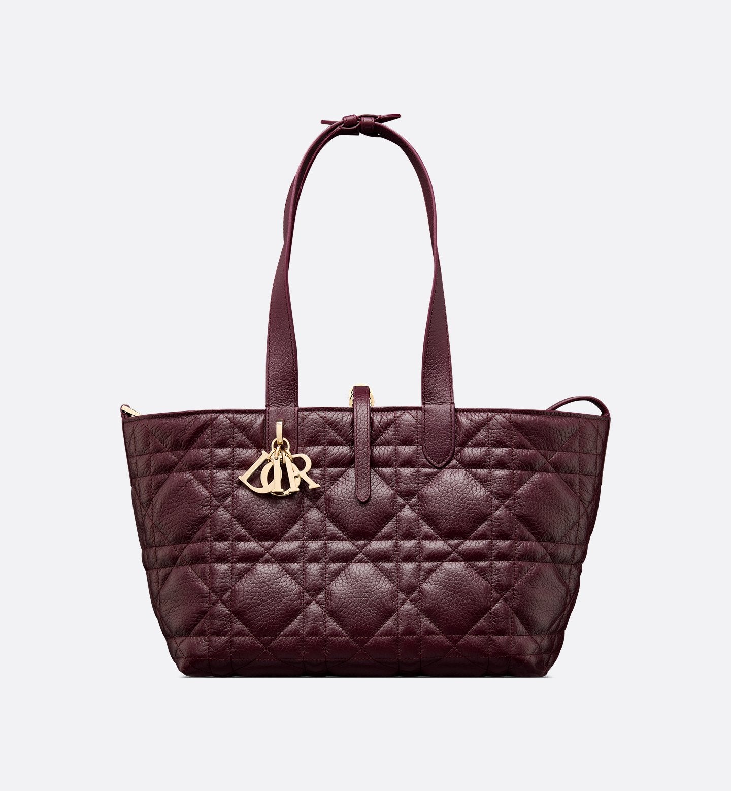 Medium Dior Toujours Bag