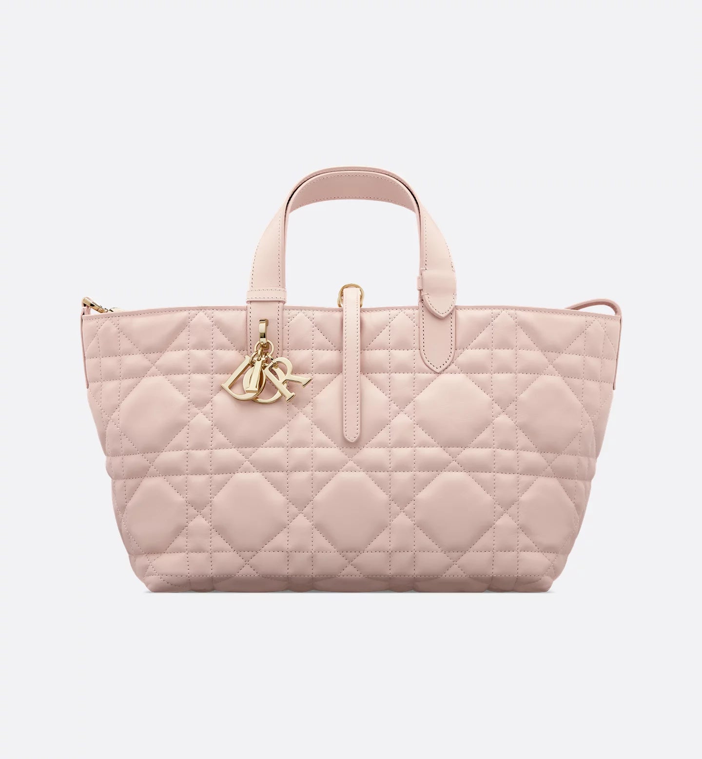 Dior Toujours medium bag