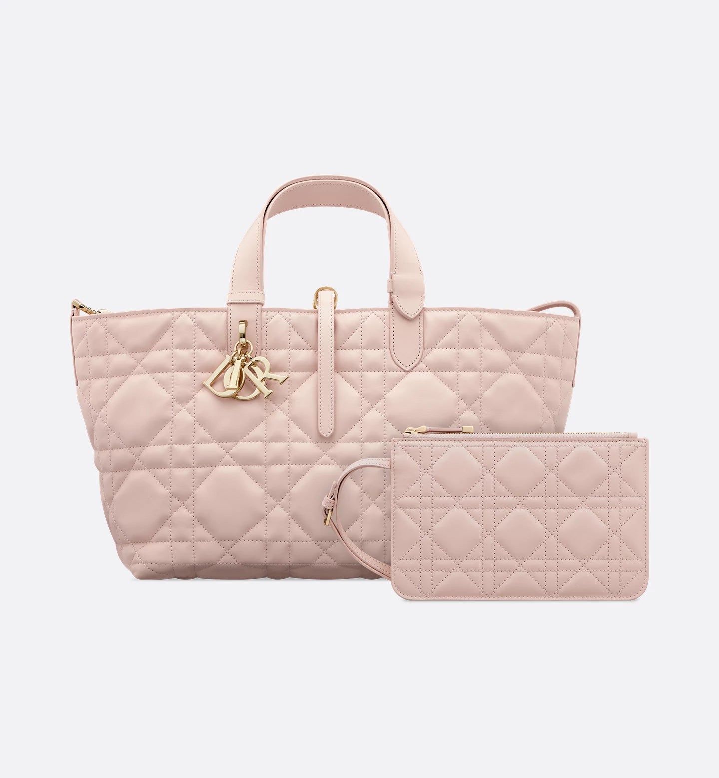 Dior Toujours medium bag