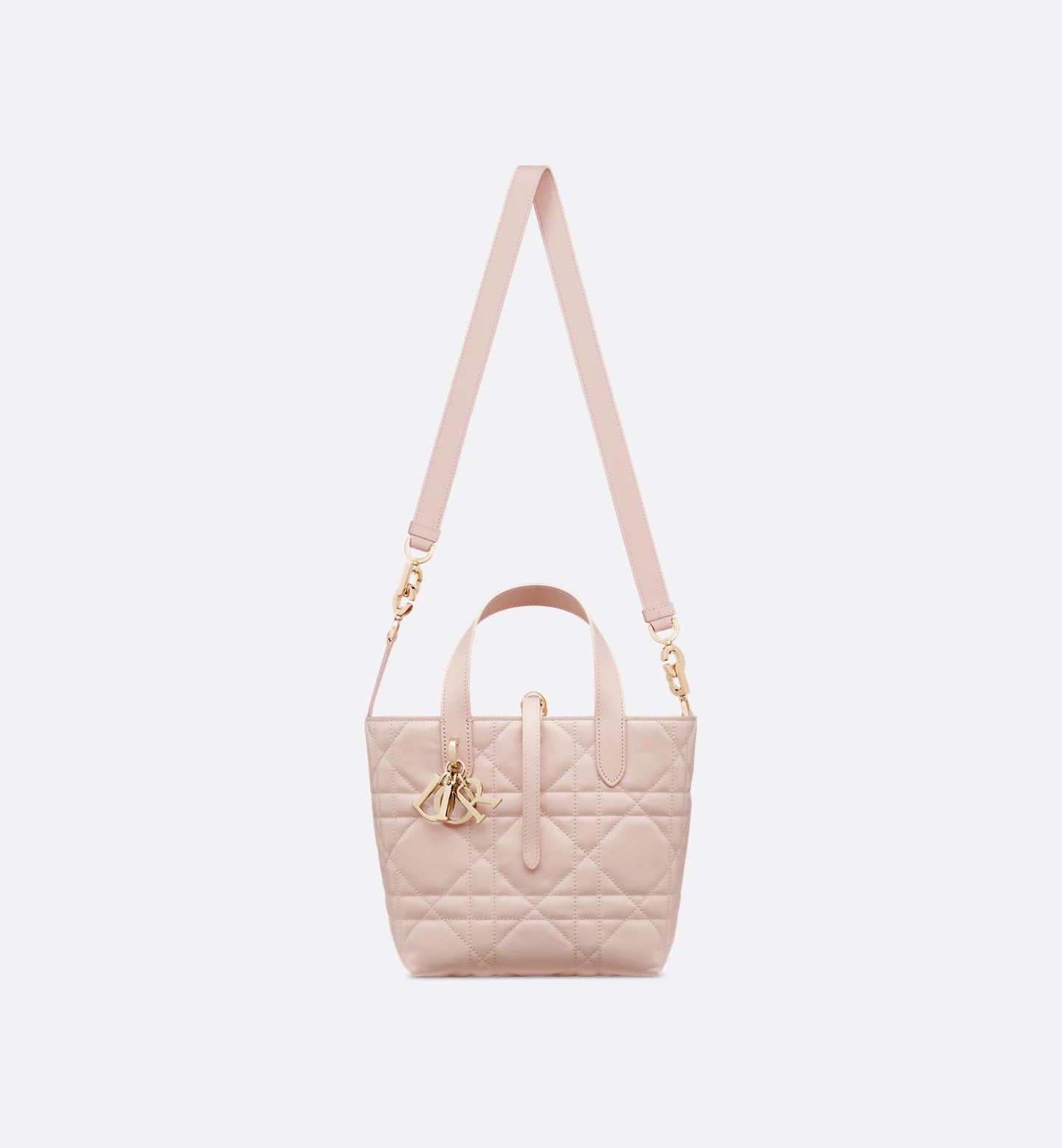 Dior Toujours small vertical tote bag