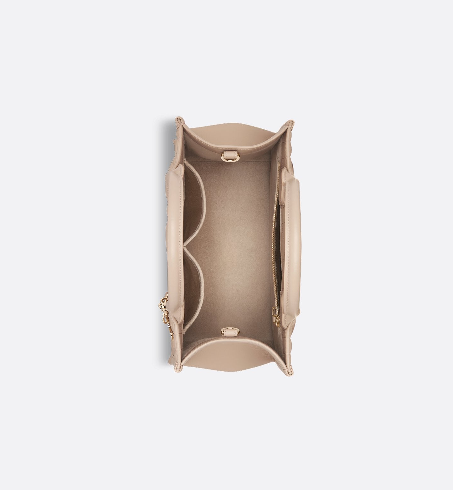 Small Dior Book Tote