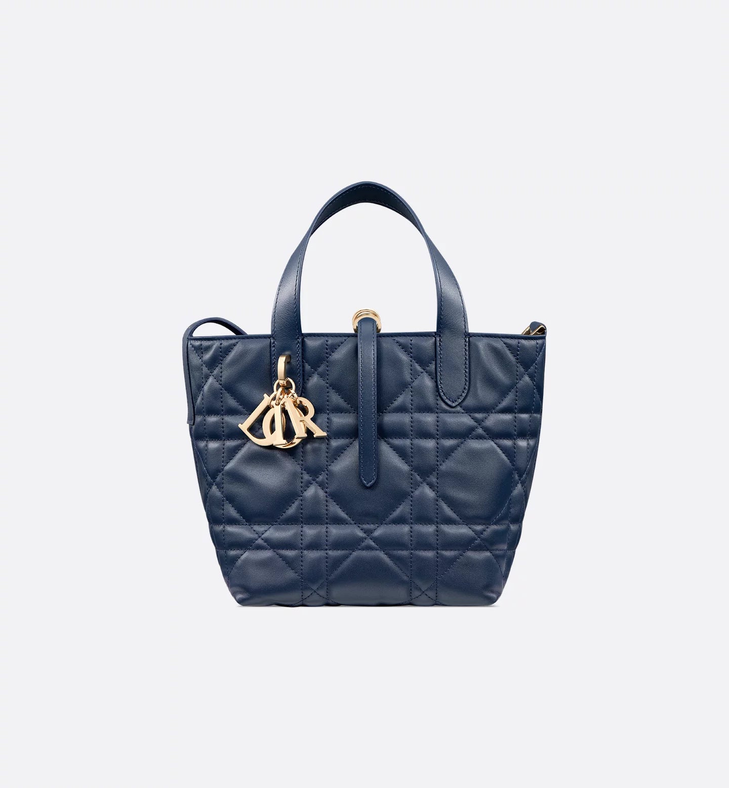 Dior Toujours small vertical tote bag