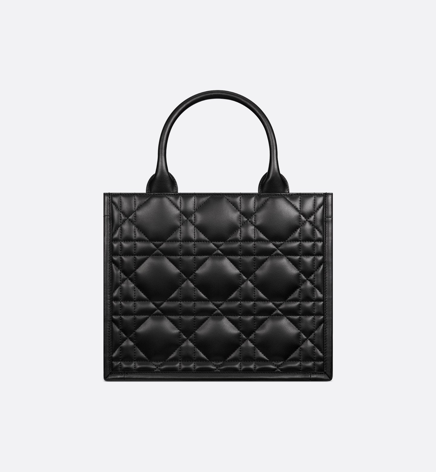 Small Dior Book Tote