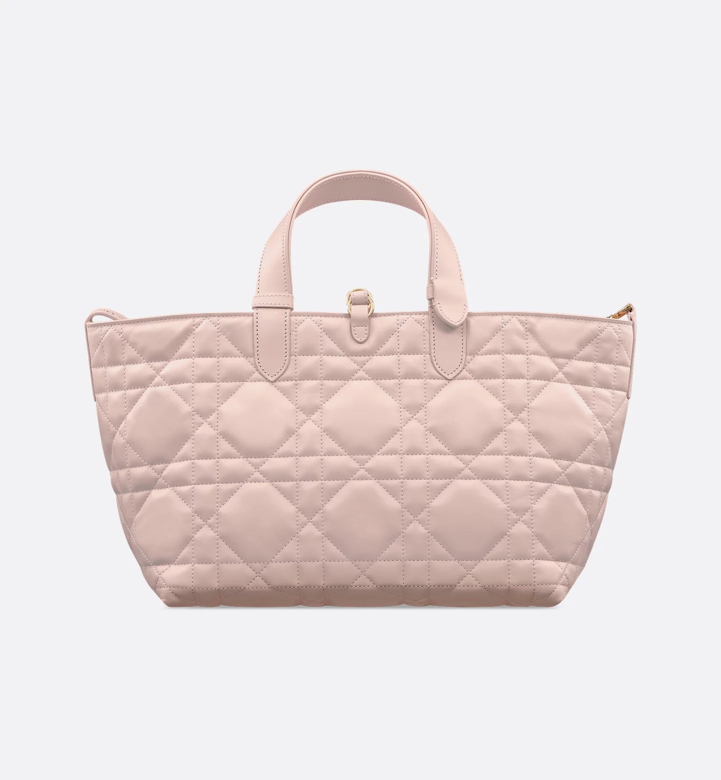 Dior Toujours medium bag