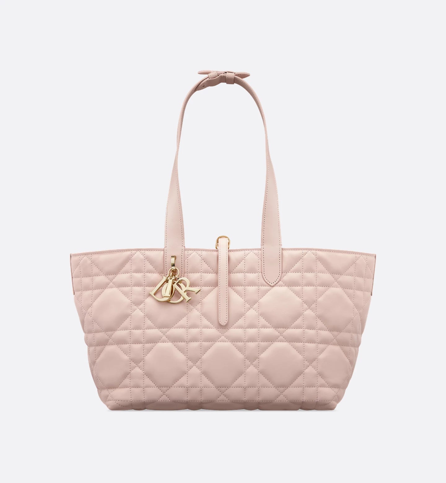 Dior Toujours medium bag