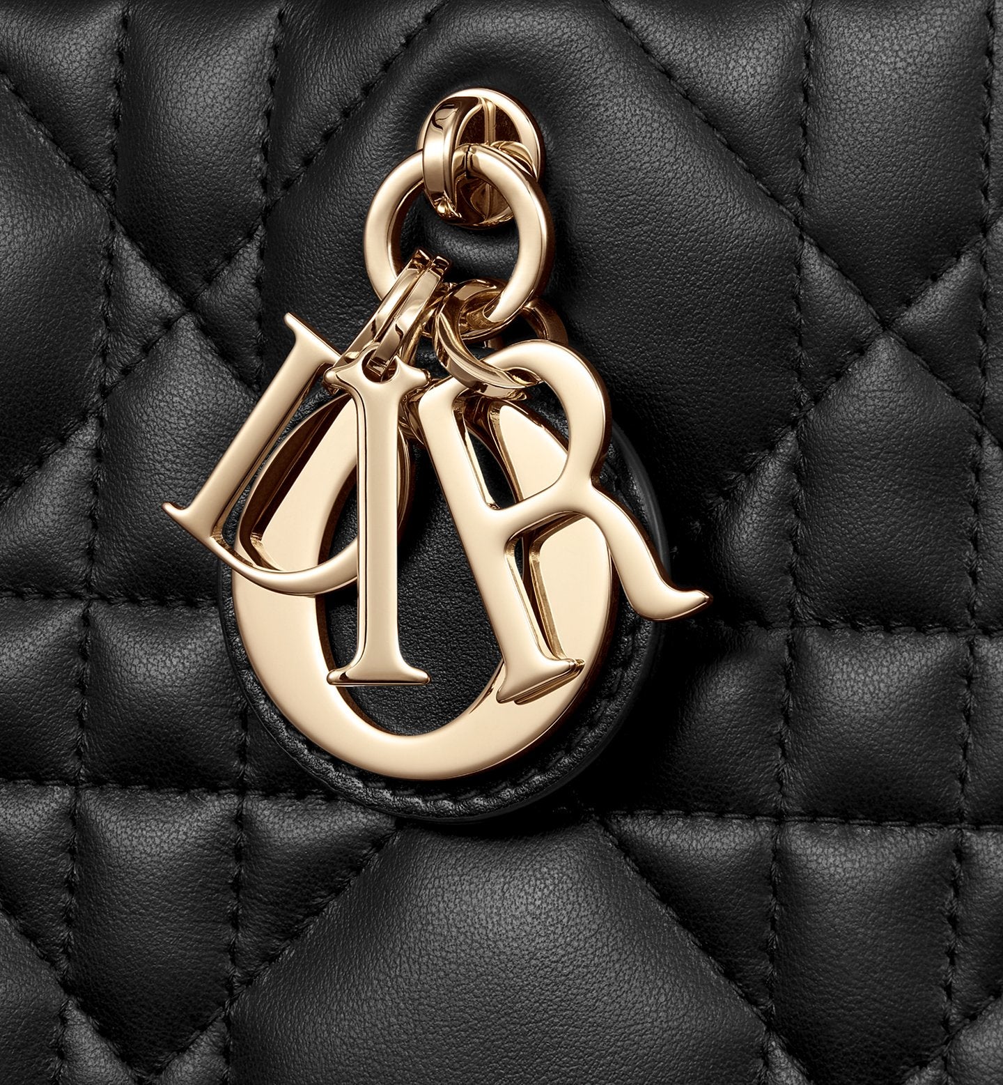 Small Dior Book Tote