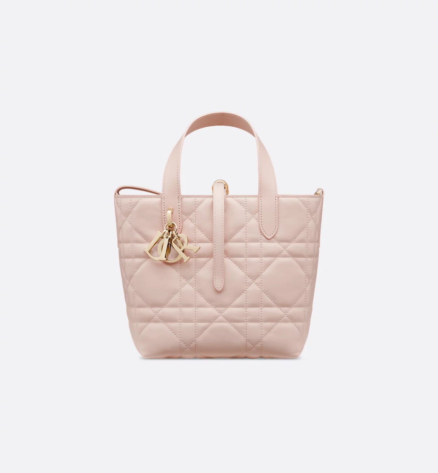 Dior Toujours small vertical tote bag