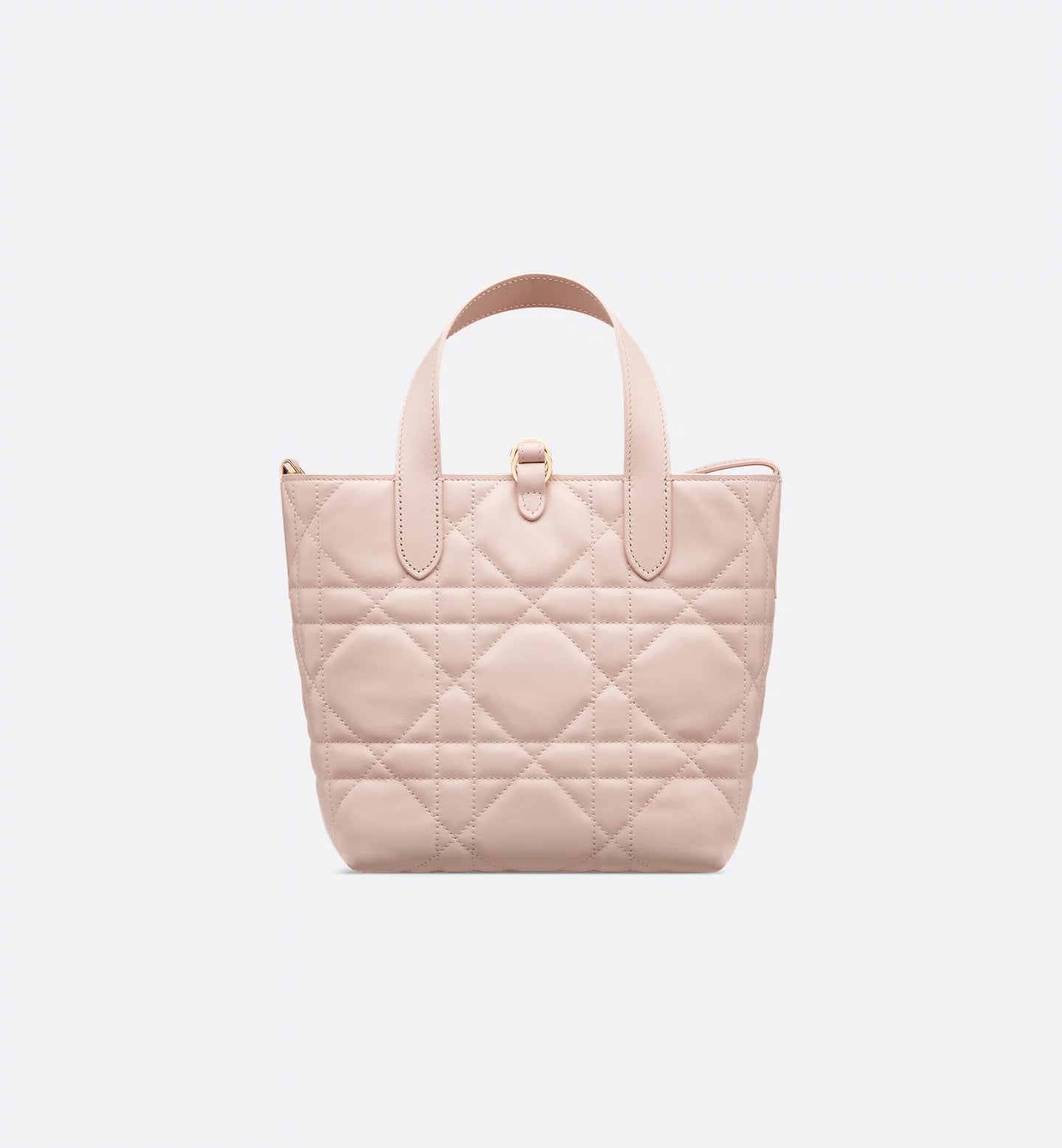 Dior Toujours small vertical tote bag