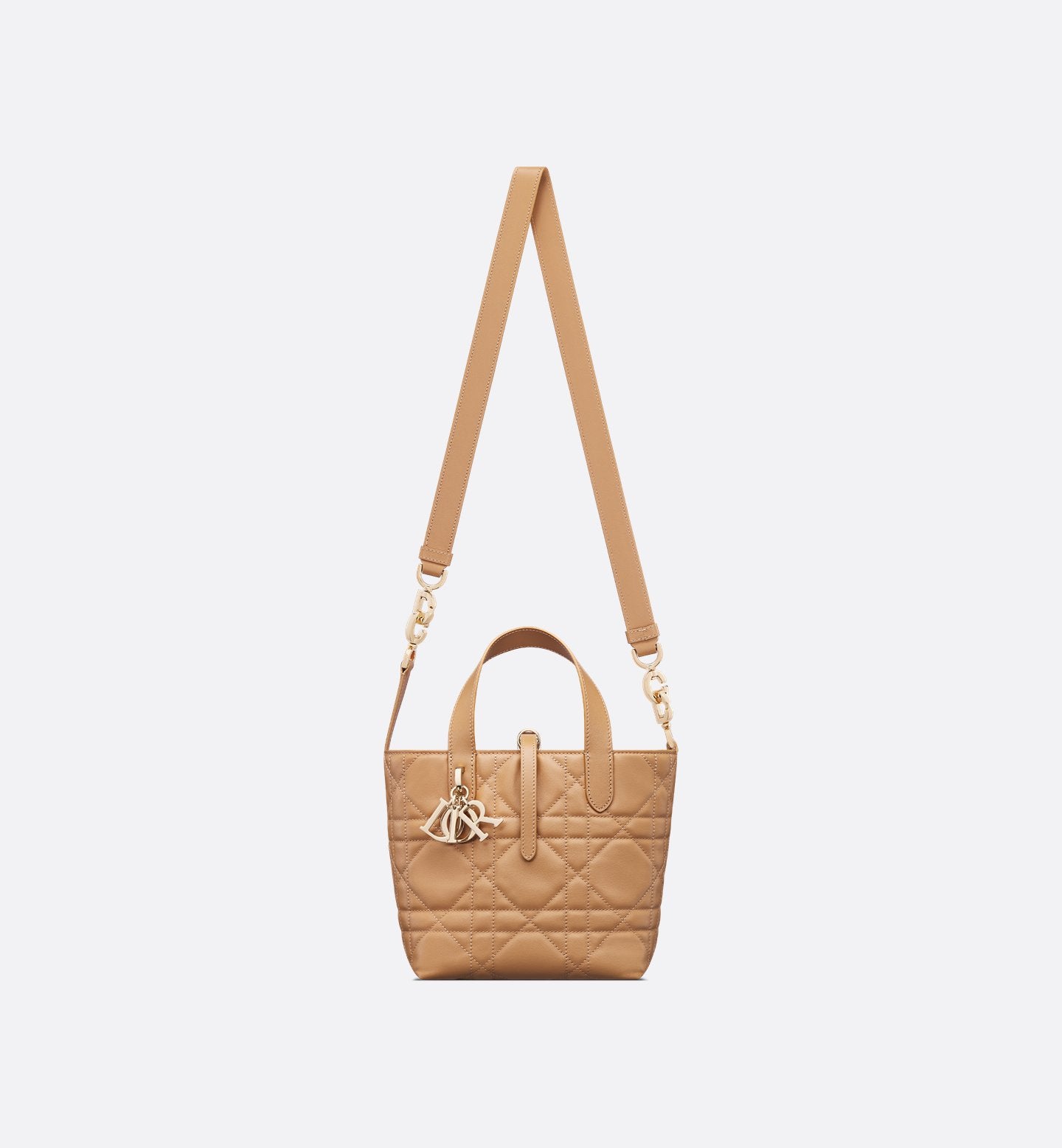 Dior Toujours Small Vertical Tote Bag
