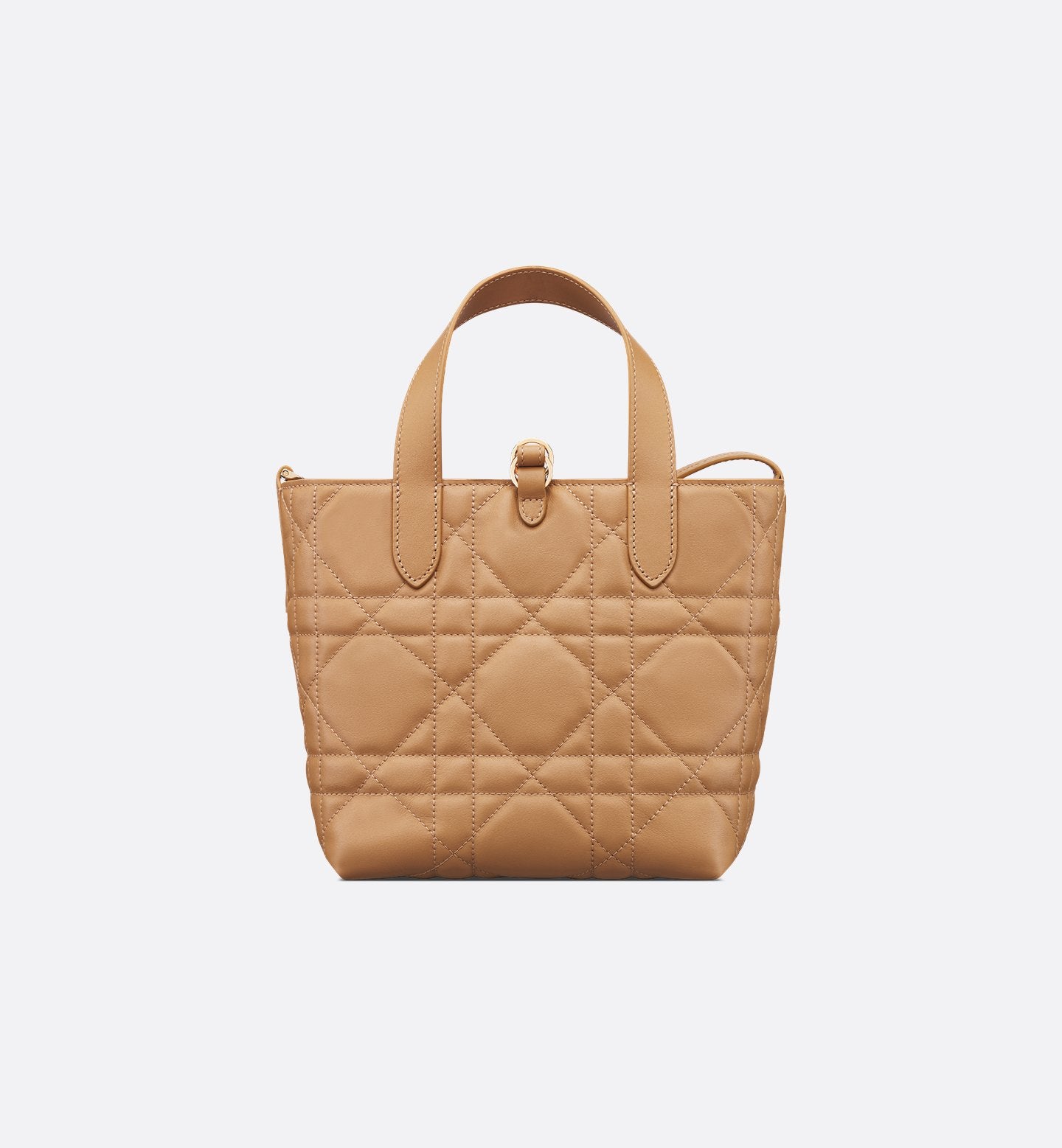 Dior Toujours Small Vertical Tote Bag