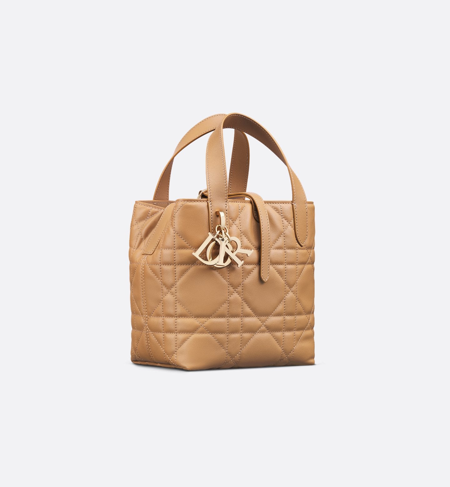 Dior Toujours Small Vertical Tote Bag