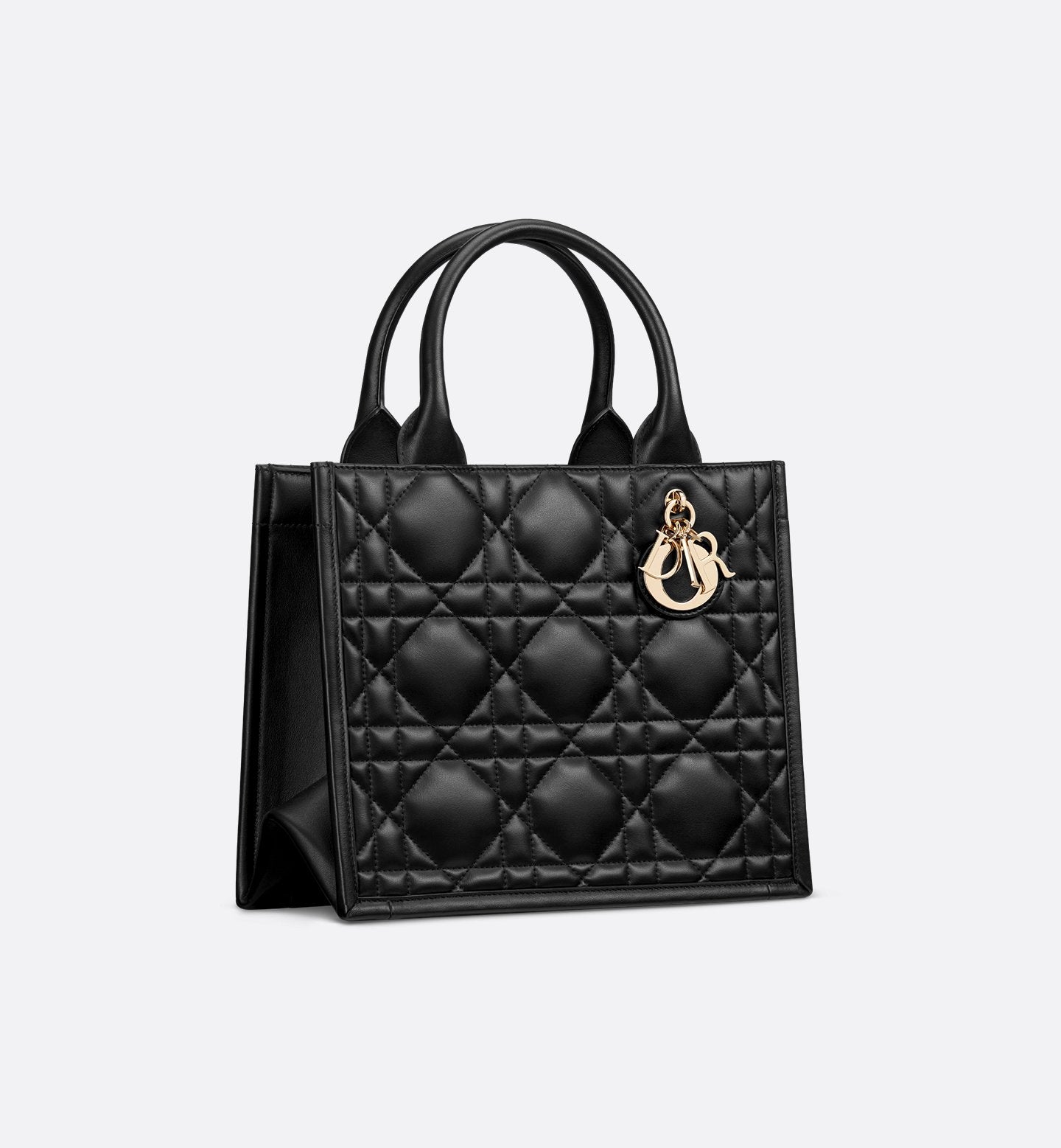 Small Dior Book Tote