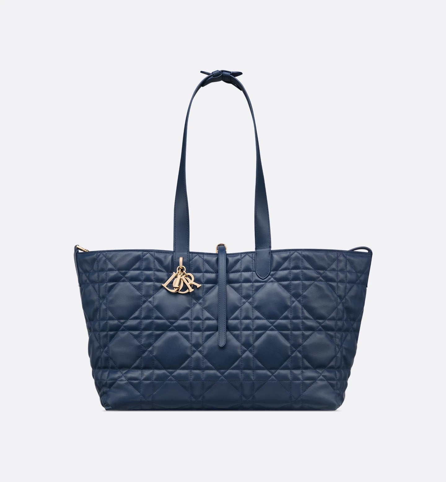 Dior Toujours large bag