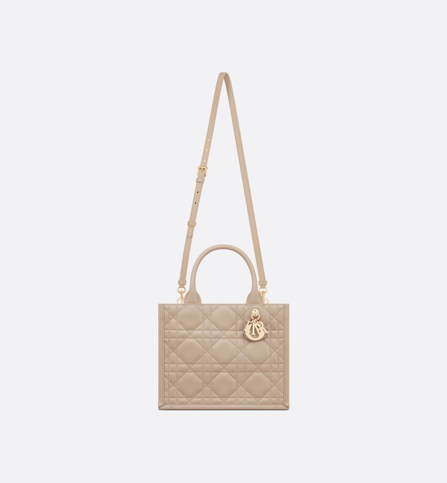 Small Dior Book Tote