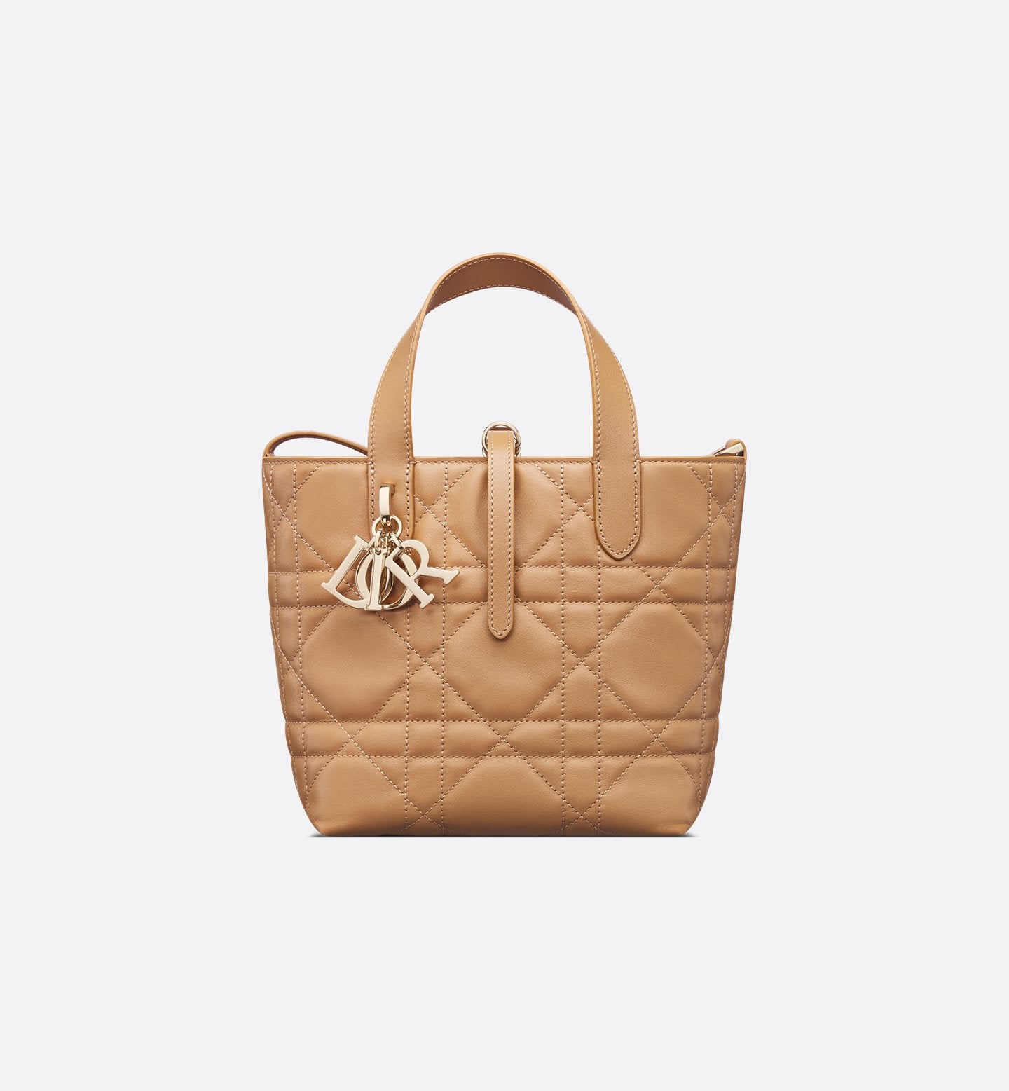 Dior Toujours Small Vertical Tote Bag